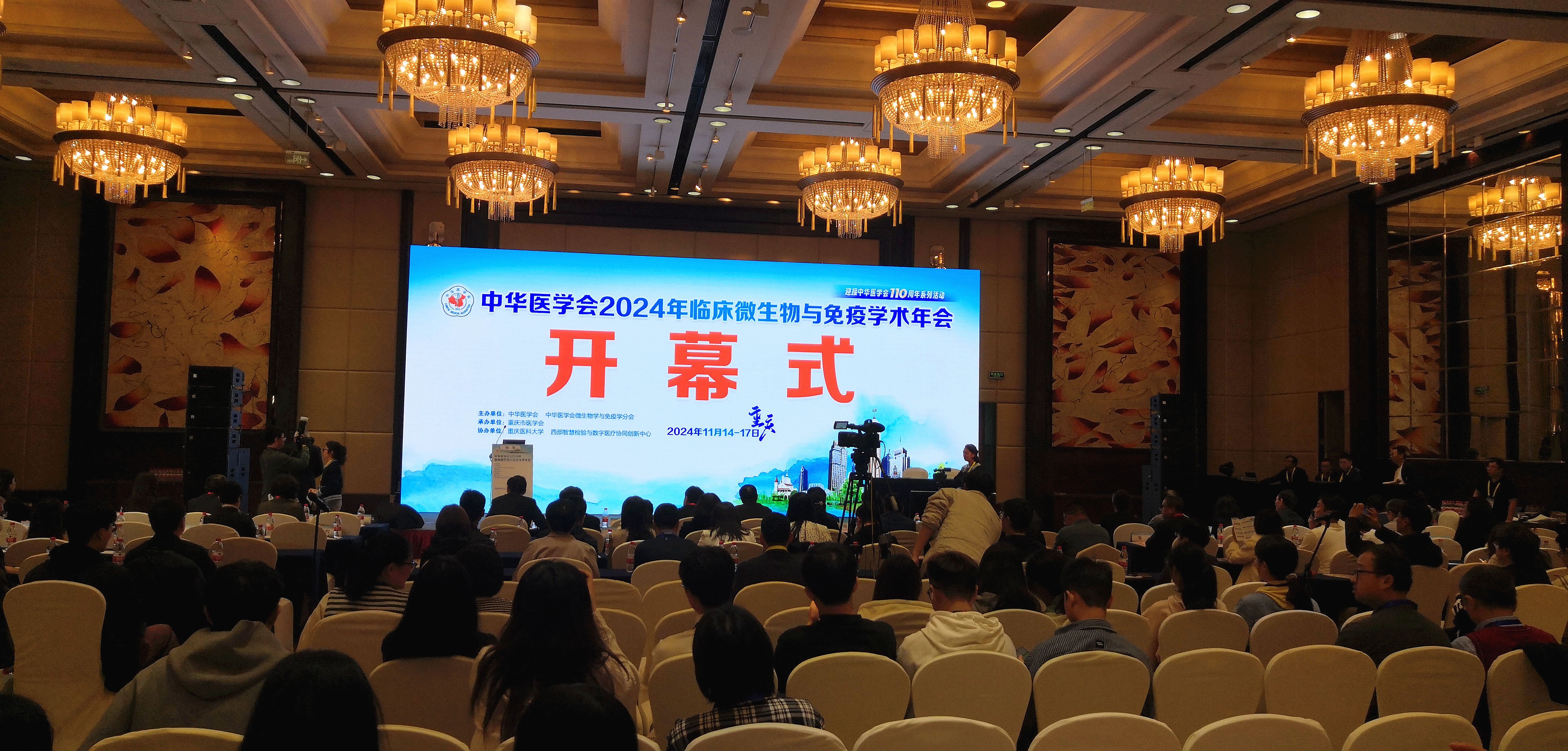 IMG_20241115_083122_BURST002_副本