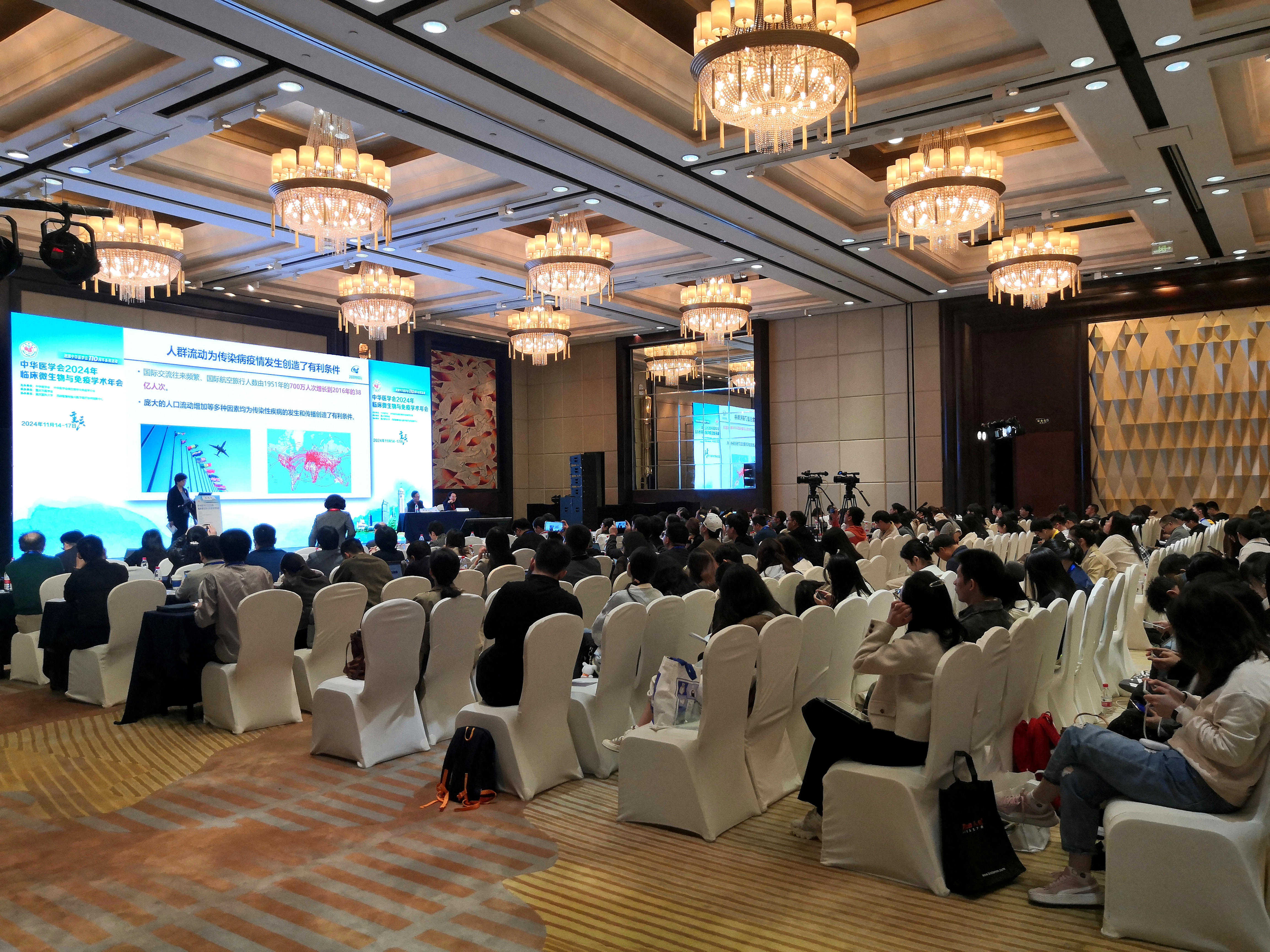 IMG_20241115_113951_副本_副本