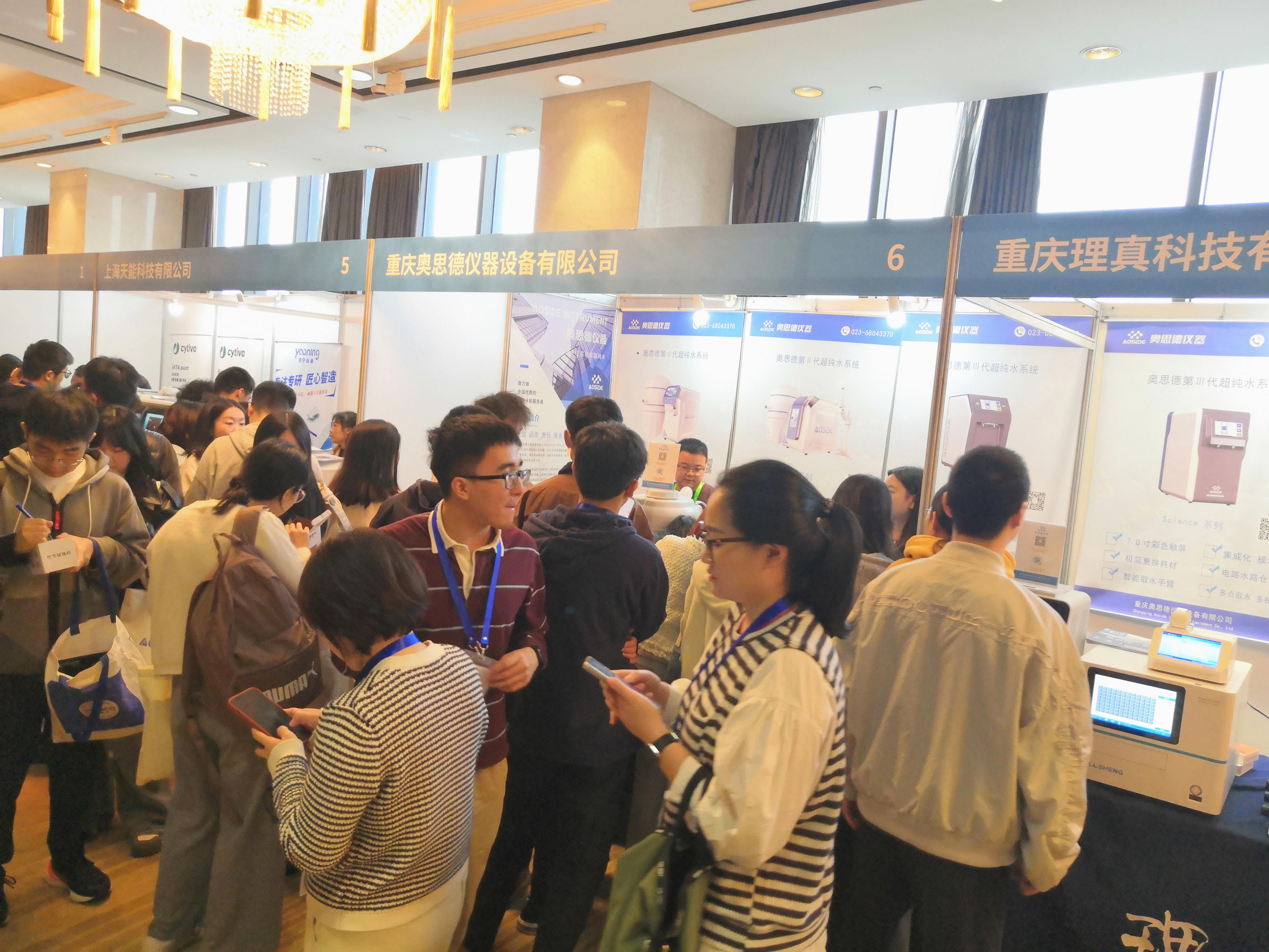 IMG_20241115_104333_副本_副本