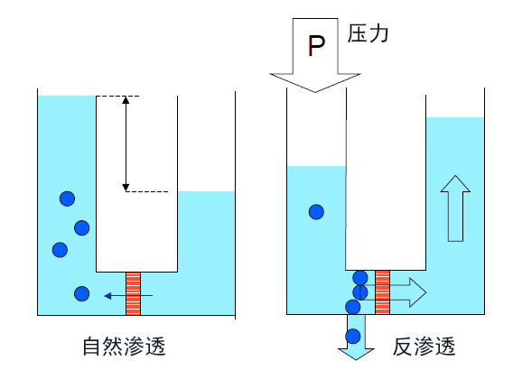 1724204704102480.jpg 图片2.jpg