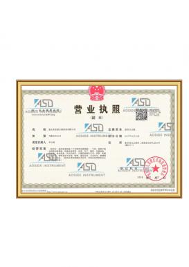 公司营业执照